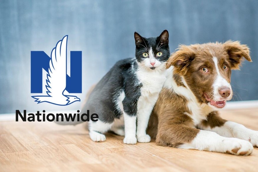 How To Cancel Nationwide Pet Insurance
